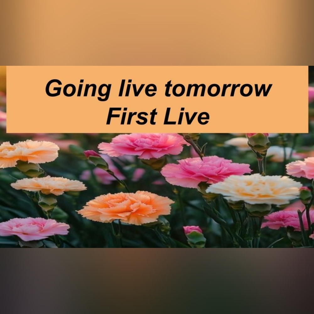 Thank You For Your Support! 🌻